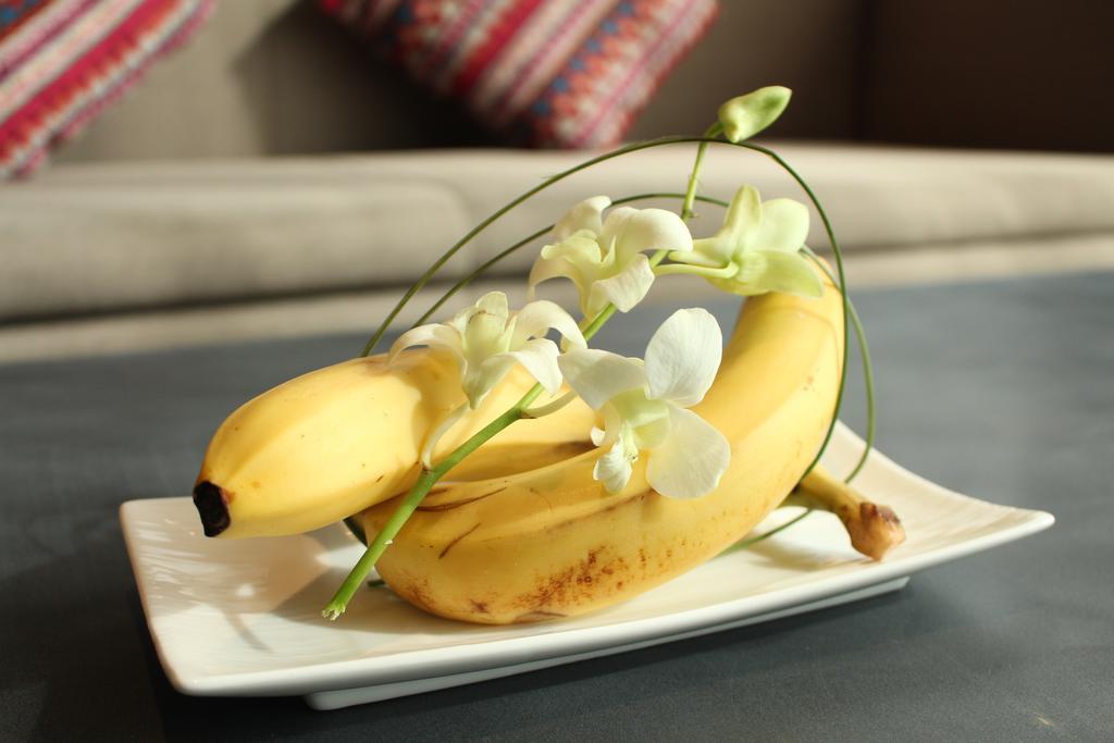 Ssaw Boutique Hotel Delan Mogan Mountain Deqing Ngoại thất bức ảnh